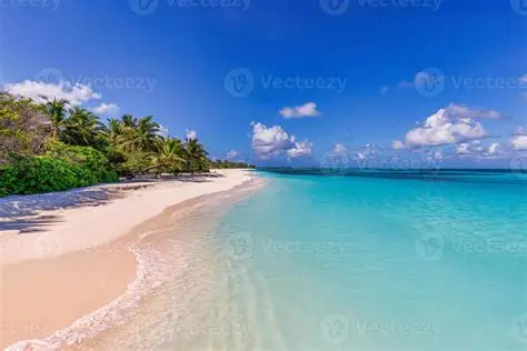 A tropical beach with a light blue ocean and white sand, surrounded by palm trees and other vegetation under a blue sky wi...